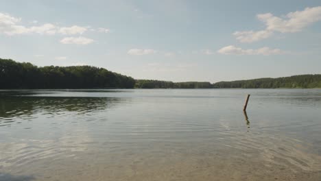 Ruhiger-See-Mit-üppigen-Waldbäumen-Im-Hintergrund-In-Jezioro-Glebokie,-Polen