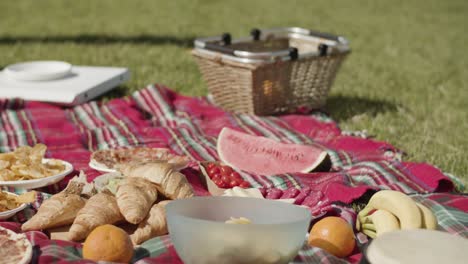 Establishing-shot-of-a-picnic-set-out-on-a-chartered-cloth-filled-with-lots-of-different-food