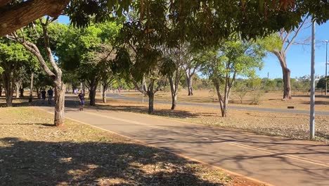 steady-shot-showing-a-pedestrian-path-next-to-a-bicycle-road-in-the-green-nature-of-brasilia-city-park-on-a-summer-day