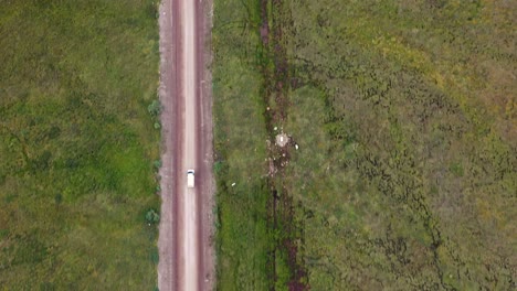 White-minivan-driving-on-a-dirt-road-through-Alaska-grassy-green-wild-terrains---aerial-top-down-tracking-shot