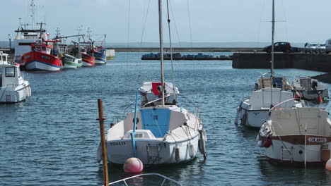 Mittlere-Aufnahme-Kleiner-Boote,-Die-Im-Hafen-Von-Brest,-Frankreich,-Vor-Anker-Liegen