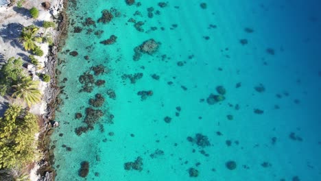 Luftaufnahme,-Drohnenaufnahme-Des-Flachen,-Klaren-Wassers-Und-Korallenriffs-Der-Wunderschönen-Lagune-Des-Atolls-Von-Fakarava-In-Französisch-Polynesien
