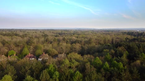 Drone-shot-flying-over-trees-and-forest-in-summer-in-Surrey,-England