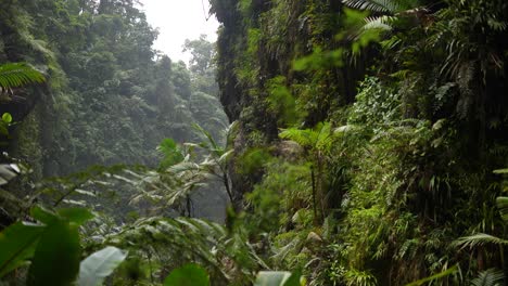 Selva-Tropical-De-Costa-Rica-Junto-A-Montañas-Y-Rocas
