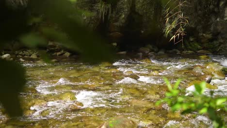 Fluss-Im-Dschungel-Von-Costa-Rica-Neben-Großen-Felsen-Und-Bäumen