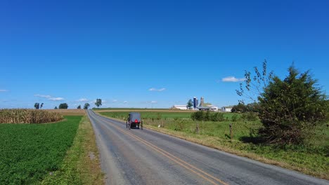 Un-Caballo-Amish-Y-Un-Buggy-Trotando-Por-Una-Carretera-Rural-En-Un-Hermoso-Día-Soleado