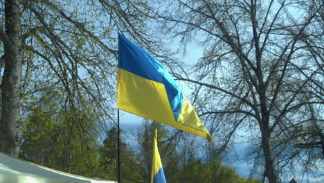 Die-Flagge-Der-Ukraine-Weht-In-Zeitlupe-Vor-Den-Bäumen-Des-Waldparks