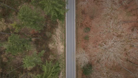 Black-car-passing-through-frame-in-a-top-down-drown-shot-of-a-forest-road