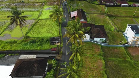Amazing-cinematic-Ubud,-Bali-drone-footage-with-exotic-rice-terrace,-small-farms,-village-houses-and-agroforestry-plantation
