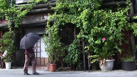 Weitwinkelaufnahme-Von-Pflanzen,-Die-Um-Ein-Haus-Herum-Wachsen,-Naha,-Okinawa,-Japan