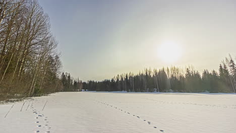 Timelapse-shot-of-beautiful-sun-halo-during-sunrise-in-timelapse-over-snow-covered-field-surrounded-by-pine-forest