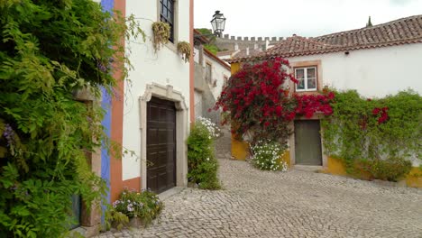 Red-Flowers-Growing-on-the-Walls-of-House-in-Castle-of-Óbidos
