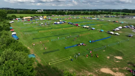 Wide-aerial-view-of-huge-grass-volleyball-tournament,-Trees-in-foreground-with-people-playing-outdoor-volleyball-in-background