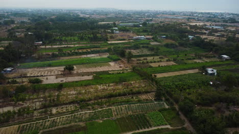 Agriculture-fields-in-countryside-of-Phan-ri-cua,-Vietnam