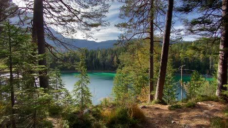 Panoramic-view-of-a-forest-with-the-beautiful-Eibsee-lake-in-Bavaria-behind,-with-turquoise-water,-very-close-to-the-Zugspitze-mountain