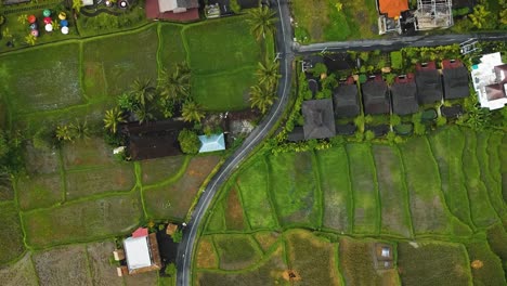 Asombrosas-Imágenes-Cinematográficas-De-Ubud,-Bali-Drone-Con-Exótica-Terraza-De-Arroz,-Pequeñas-Granjas,-Casas-De-Pueblo-Y-Plantaciones-Agroforestales