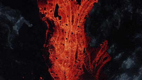Red-burning-lava-river-surrounded-by-dark-basalt-rock,-top-down