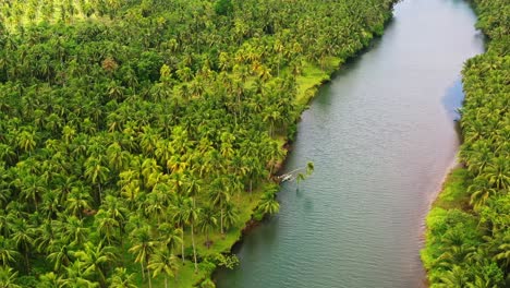 Dicht-Wachsende-Kokospalmen-Entlang-Des-Flussufers-Mit-Festmachendem-Auslegerboot-In-Der-Nähe-Von-Saint-Bernard-In-Southern-Leyte,-Philippinen