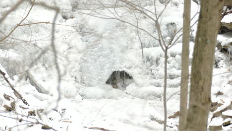 Waterfall-Through-Snowy-Winter-Landscape-In-Niagara-Escarpment,-Hamilton,-Ontario,-Canada