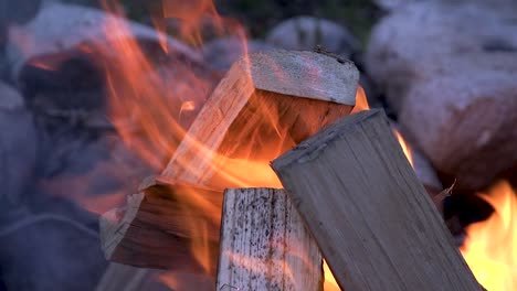 Closeup-of-a-campfire-burning