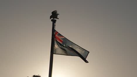 Ein-Weißer-Kakadu-Landet-Auf-Einem-Australischen-Fahnenmast-Und-Weht-Sanft-Im-Wind,-Während-Die-Grelle-Sonne-Auf--Oder-Untergeht