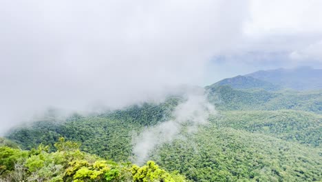 Eine-Panoramaaufnahme-Der-Natur,-Aufgenommen-In-Langkawi