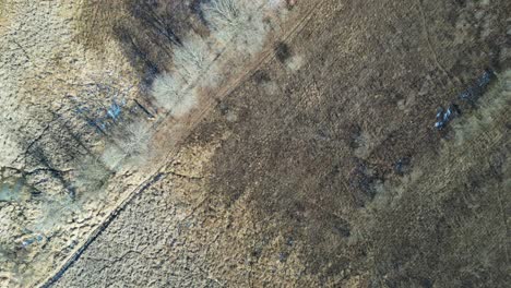 An-overhead-drone-shot-flying-over-a-dead-winter-corn-field-that-hasn't-been-used-in-a-few-years