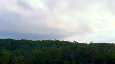 Zeitrafferaufnahme-Fliegender-Wolken-über-Dichten-Waldbäumen-In-Der-Natur-An-Bewölkten-Tagen