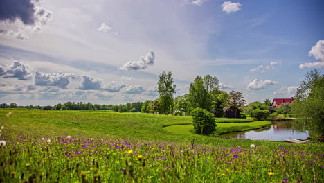 Zeitrafferaufnahme-Einer-Wunderschönen-Naturlandschaft-Mit-Blühenden-Blumen-Auf-Einer-Wiese-Am-See-Und-Wolken-Am-Blauen-Himmel-Im-Frühling