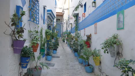 Blue-painted-accents-and-pot-plants-decorate-old-alleyway-in-Tangier,-Morocco