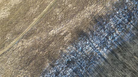 A-top-down-drone-shot-of-a-dead-corn-field-in-the-winter