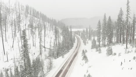 Aerial-shot-over-empty-road-through-snowy-pine-forest