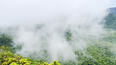 Eine-Spektakuläre-Aufnahme-Von-Nebel,-Der-über-Den-Hügeln-Von-Langkawi-Aufsteigt