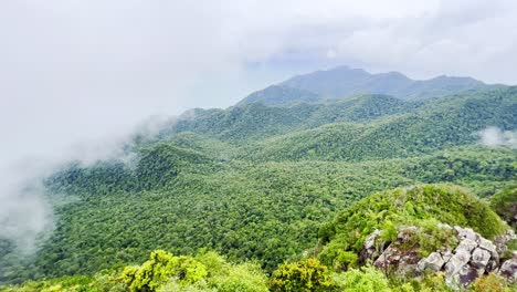 Aerial-view-of-endless-lush-hills-of-Langkawi-which-feels-like-paradise