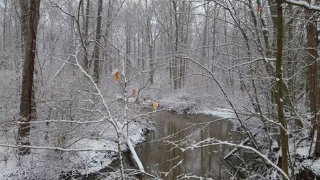 A-handheld-video-of-a-small-creek-in-the-woods-and-everything-is-covered-in-a-thick,-heavy,-wet-snow