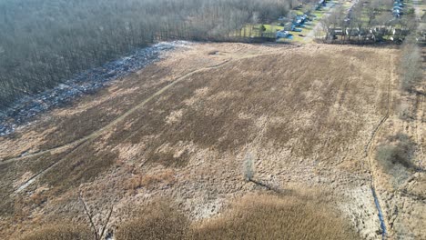 Aerial-shot-of-a-corn-field-that-hasn't-been-used-in-a-few-years-in-the-winter