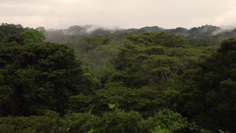 Drone-shot-flying-over-treetop-canopy-in-Amazon-rainforest-in-Brazil