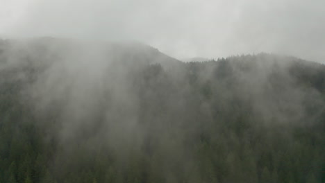 Aerial-shot-through-clouds-to-mountain-pine-forrest-Pacific-north-west