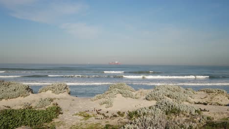 Cargo-ship-in-ocean-off-sandy-beach-with-low-succulent-shrubs-in-dunes