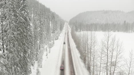 Aerial-shot-over-straight-road-through-snowy-pine-forest