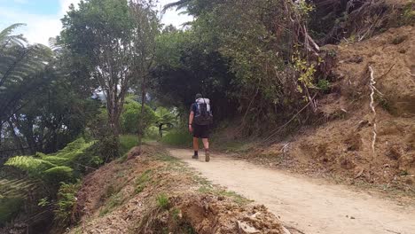 A-hiker-walking-away-from-the-camera-on-a-dirt-path-in-New-Zealand