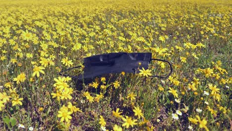 Black-COVID-face-mask-litters-windy-yellow-wildflowers-grass-in-park