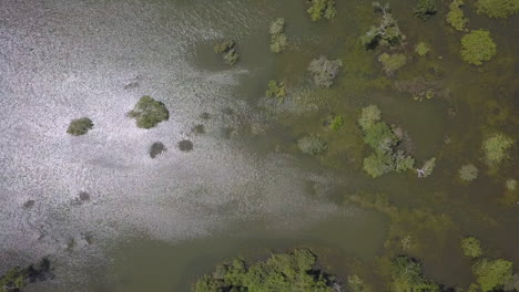 Bird's-eye-view-of-spectral-sun-highlights-on-flooded-swamp-wetland