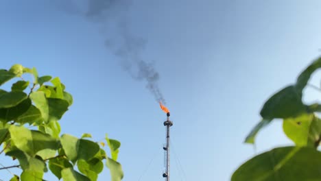 Brennende-Gasfackelindustrie,-Natürliche-Blätter-Vor-Der-Kamera,-Statische-Aufladung,-Tag