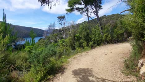 Ein-Spaziergang-Entlang-Des-Queen-Charlotte-Tracks-Auf-Der-Südinsel-Neuseelands-Aus-Der-Ich-Perspektive