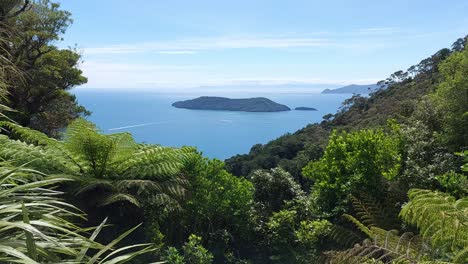 Ein-Blick-Auf-Die-Insel-Motuara-Vom-Queen-Charlotte-Track-Auf-Der-Südinsel-Neuseelands