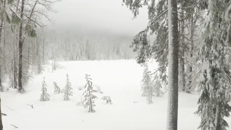 Luftaufnahme-Durch-Verschneite-Bäume-über-Einem-Zugefrorenen-See