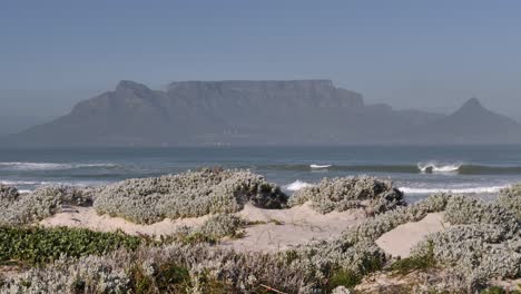 Sand-beach-shrubs-pan-with-Cape-town,-Lion's-Head,-and-Table-Mountain