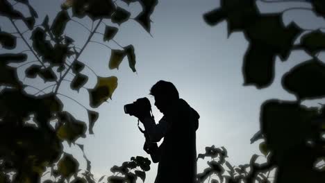 Silhouetted-of-photographer-holding-camera,-check-photos-then-points-to-shoot