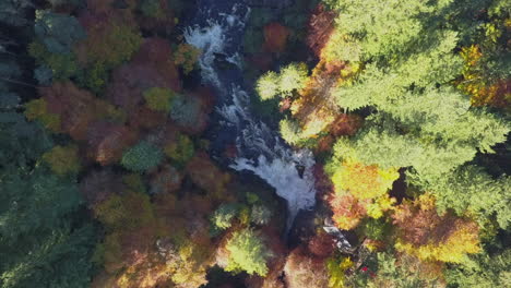 Aerial-rises-from-small-river-rapids-in-colourful-autumn-forest